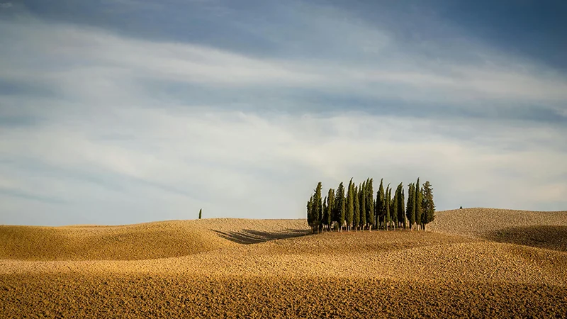 Tour Montalcino