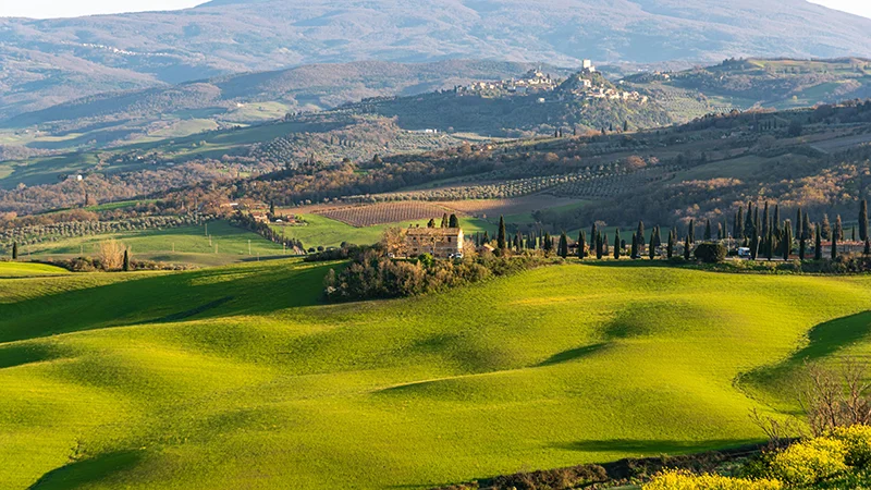 Tour Montepulciano