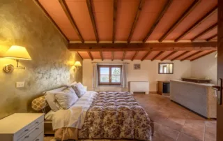 108G-vendita-casale-rustico-val-d-orcia-radicofani-19